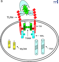   Figure 2.  