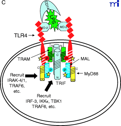   Figure 2.  