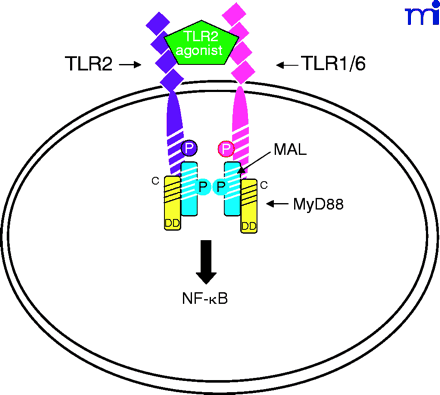   Figure 4.  