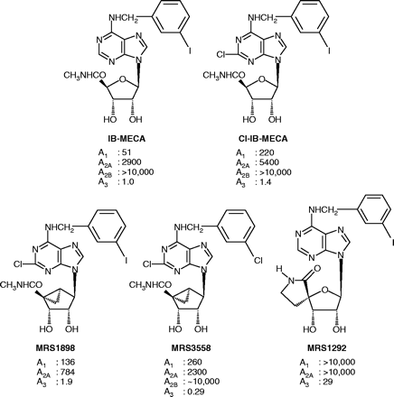   Figure 3. 