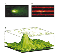   Figure 3. 