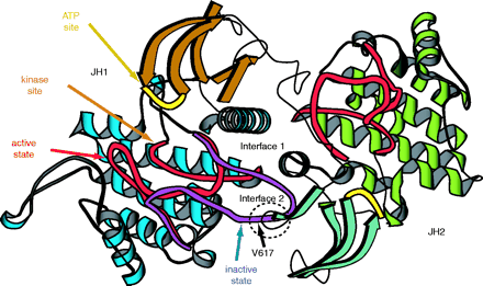   Figure 1. 