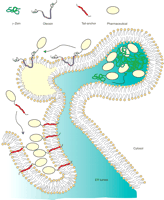   Figure 3. 