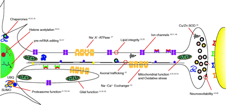   Figure 3. 