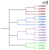   Figure 3. 