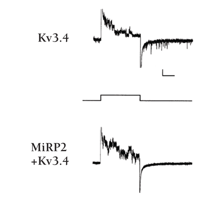   Figure 9.  