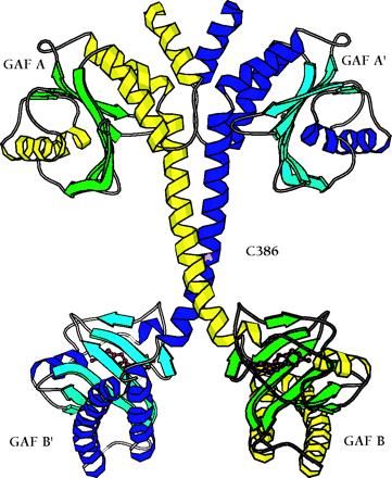   Figure 2.  