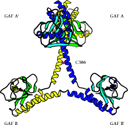   Figure 2.  