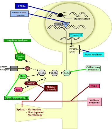   Figure 5.  