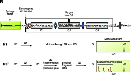   Figure 3. 