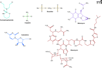   Figure 1. 