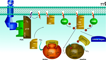   Figure 2. 