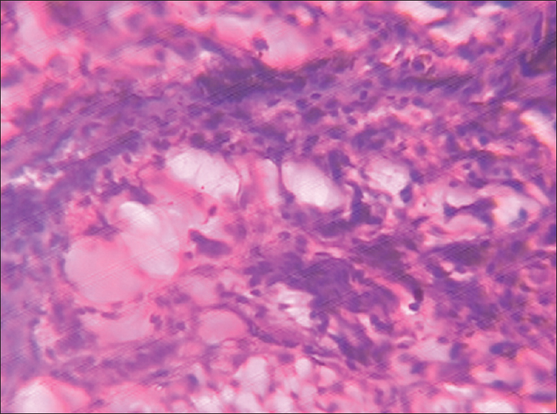 Figure 11: Kidney (control group)