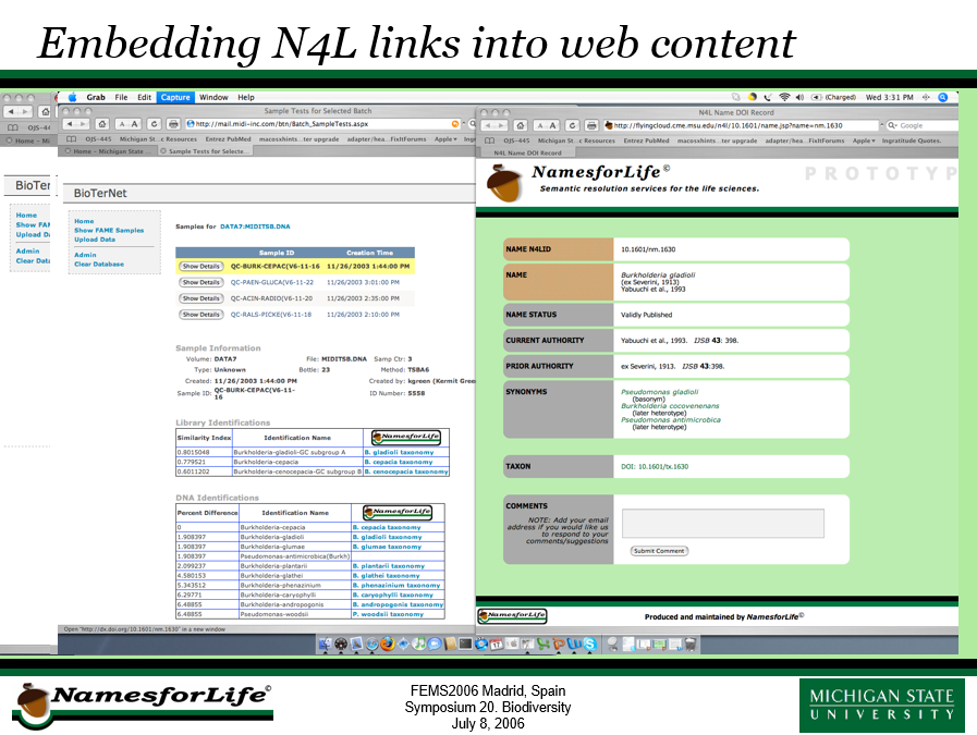 N4L persistent identifiers may be embedded into web content to enable access to taxonomic services, knowledge and rich content for names, concepts and objects.