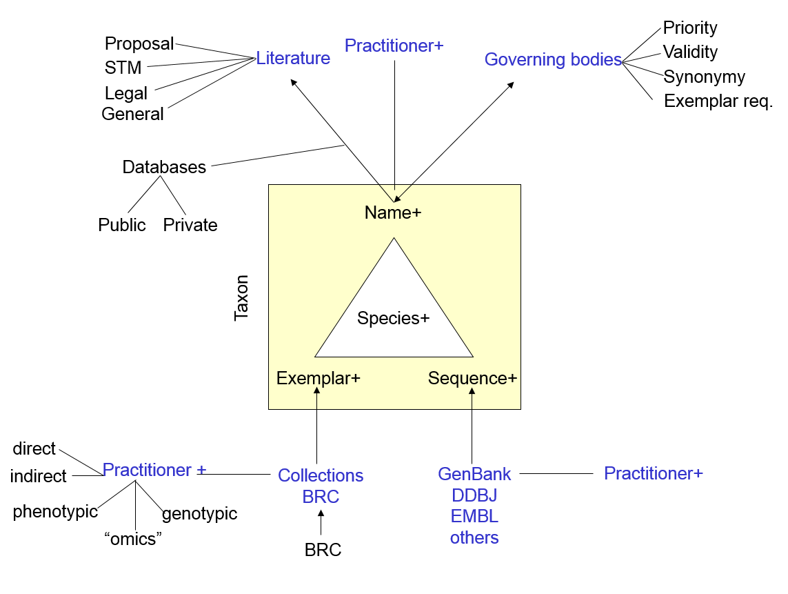 The N4L/Bergamot model and Information Objects provide a transparent middle layer that permanently links together Names and Taxa (at all levels of the hierarchy) with their occurrences in the literature and data repositories.