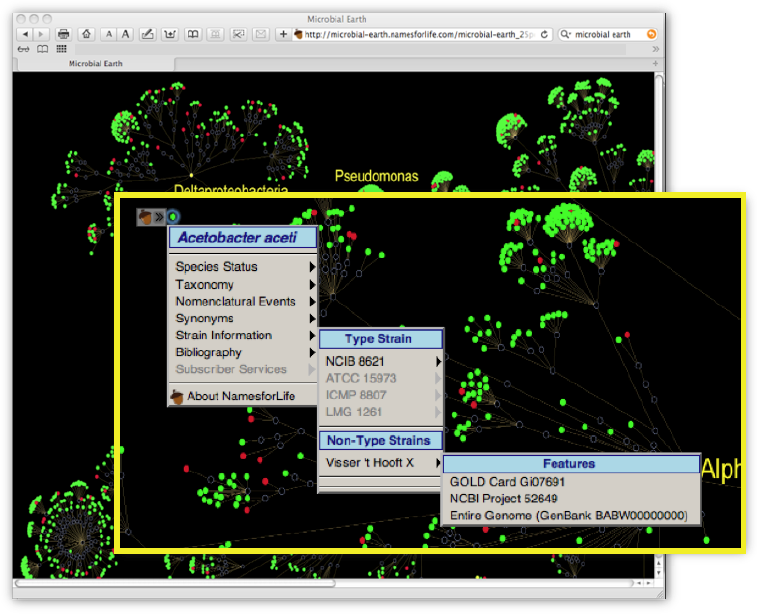 Semantic enablement of the Microbial Earth Project tree by the N4L::Guide.