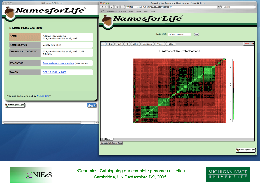 Proof-of-concept screenshots of the NamesforLife Information Architecture end points.